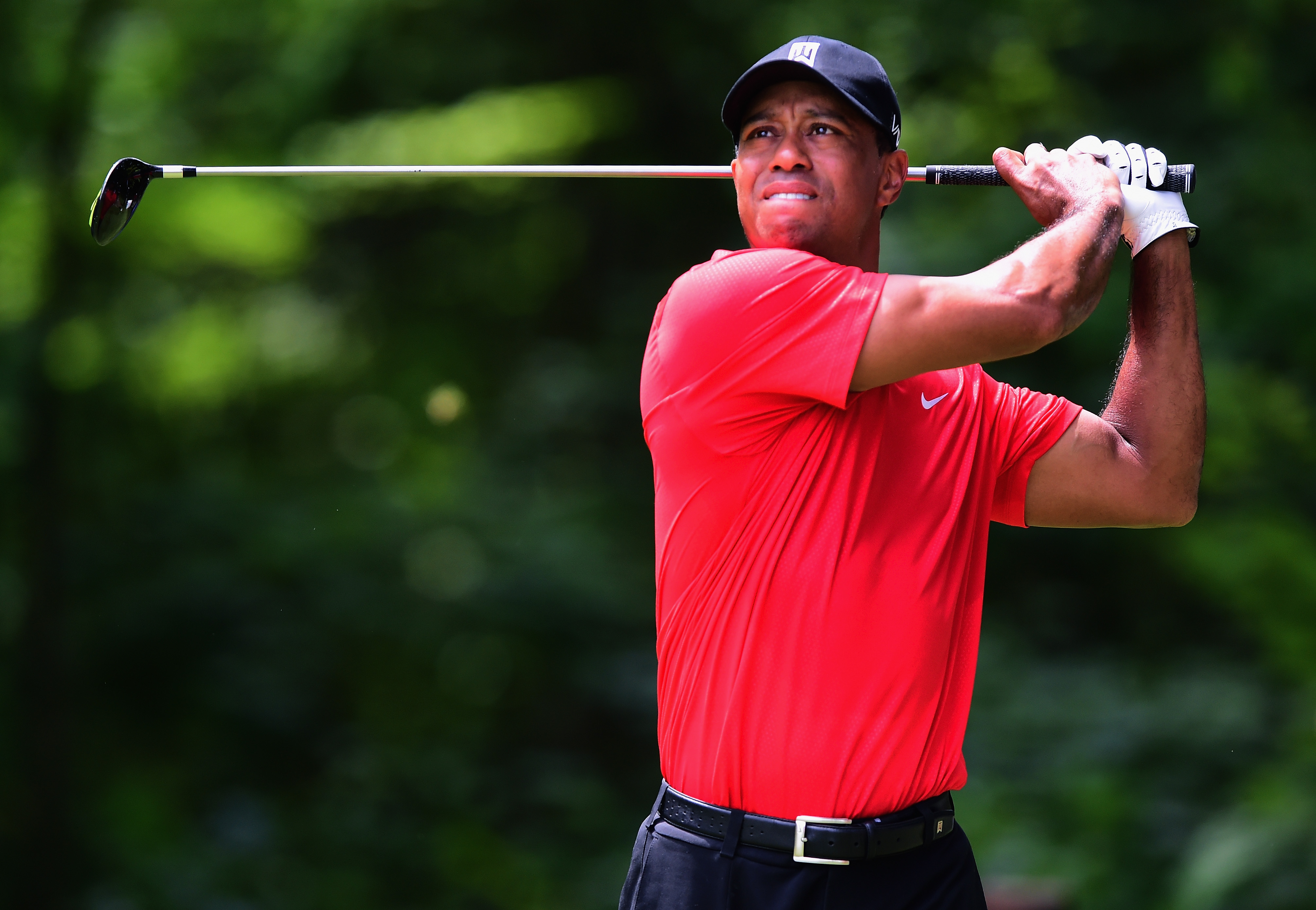 GREENSBORO, NC - AUGUST 23: Tiger Woods tees off on the second hole during the final round of the Wyndham Championship at Sedgefield Country Club on August 23, 2015 in Greensboro, North Carolina.   Jared C. Tilton/Getty Images/AFP