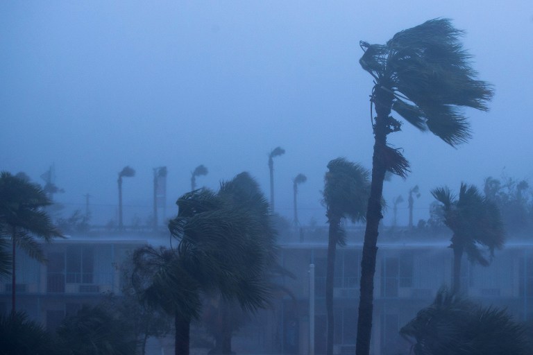ORMOND BEACH, FL - OCTOBER 7: Palm trees blow in the rain and wind from Hurricane Matthew, October 7, 2016 in Ormond Beach, Florida. Overnight, Hurricane Matthew was downgraded to a category 3 storm.   Drew Angerer/Getty Images/AFP