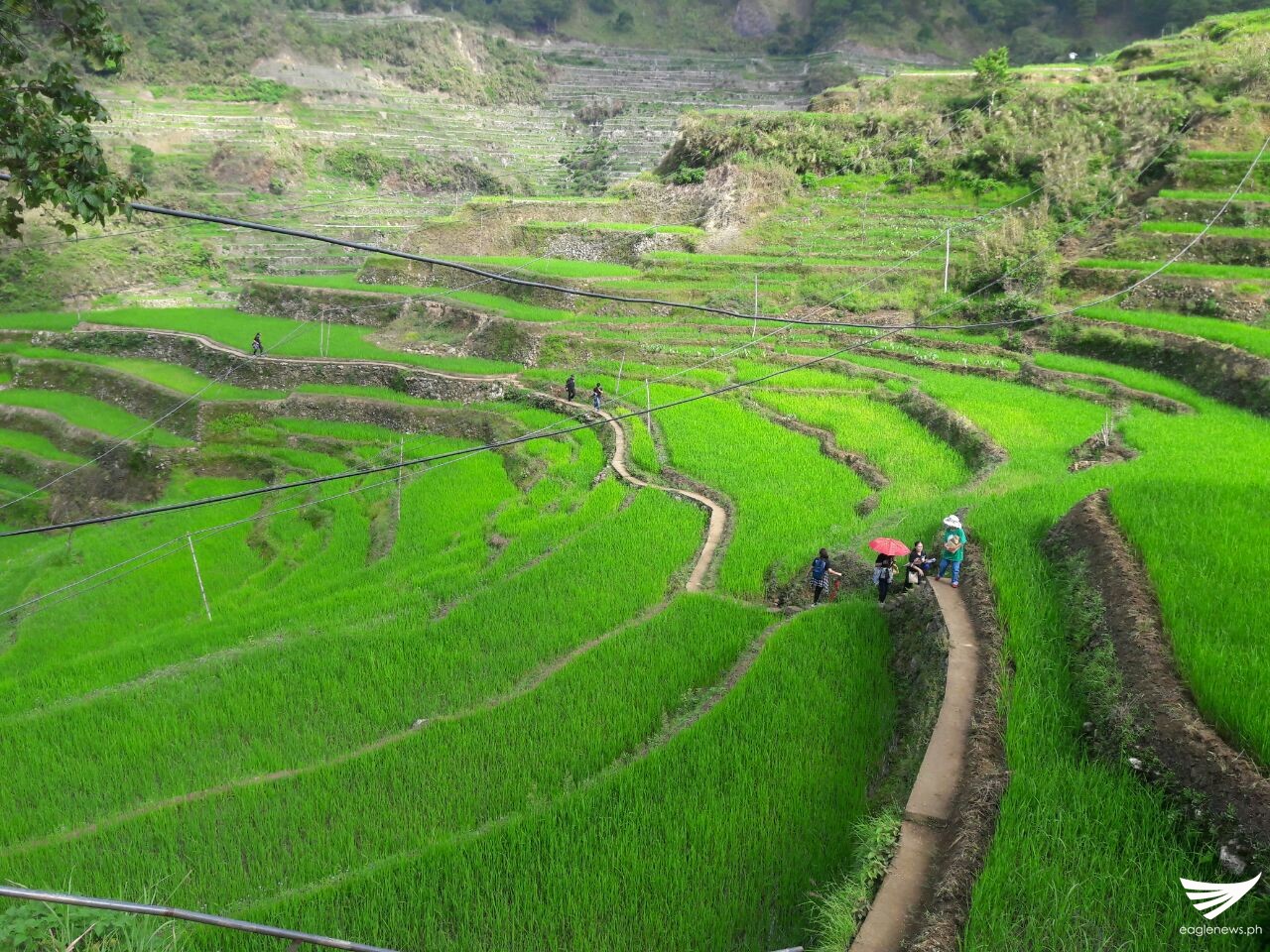 31bcb22f-83c8-4fb9-b653-3ab3171ec180