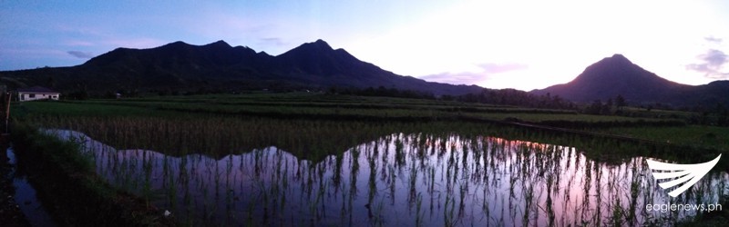 33c1c21a-31ab-40c5-a34a-4fa0dccee2fd