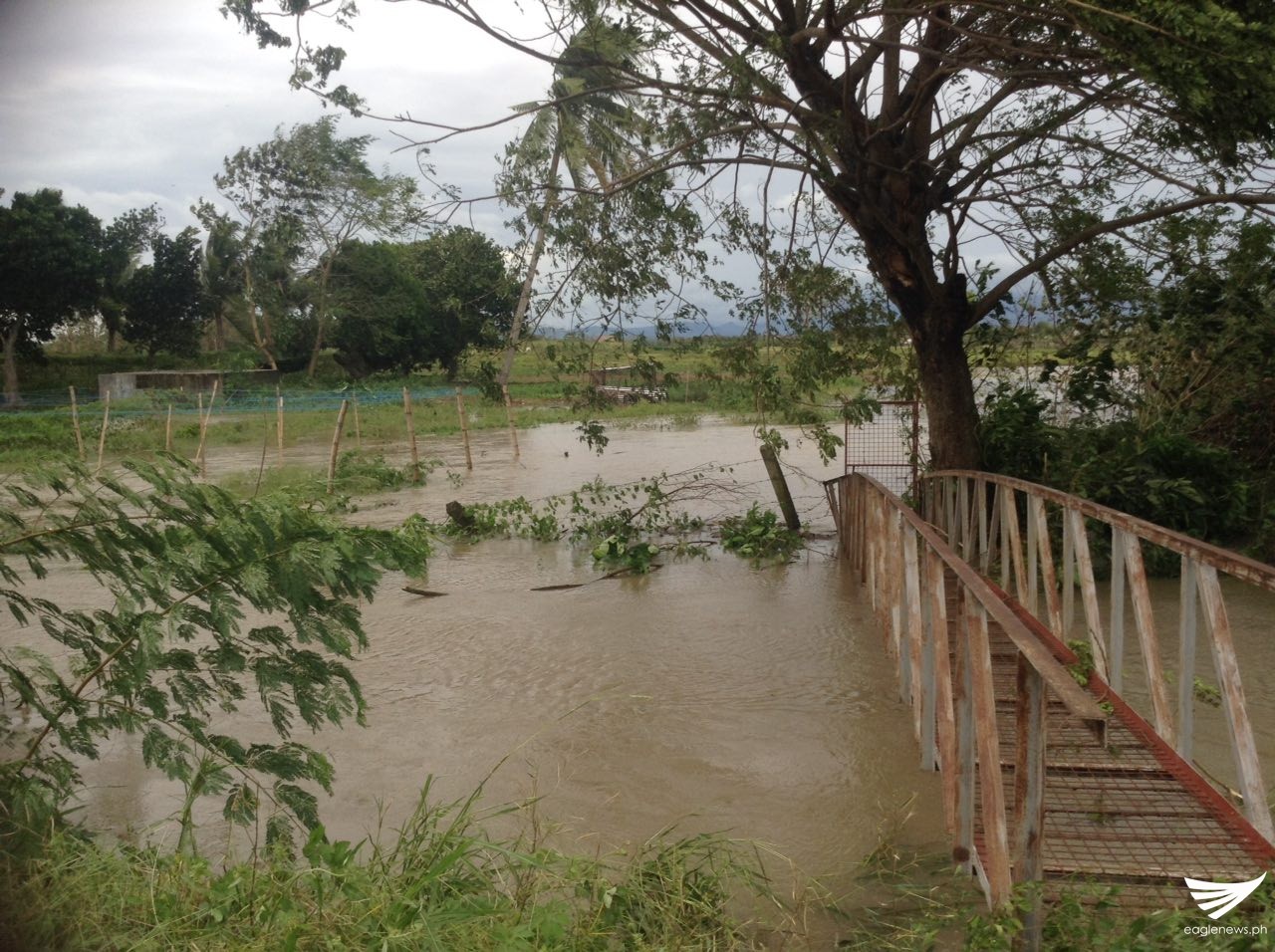 39f1ab50-fed5-434f-8bec-b4008c3ac657