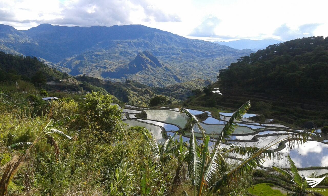 781943b6-bd7d-4f22-be8d-0461ba6cfa2d