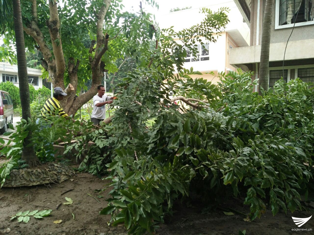 9a8c7e14-c76c-4ceb-b334-ca662dd5995a