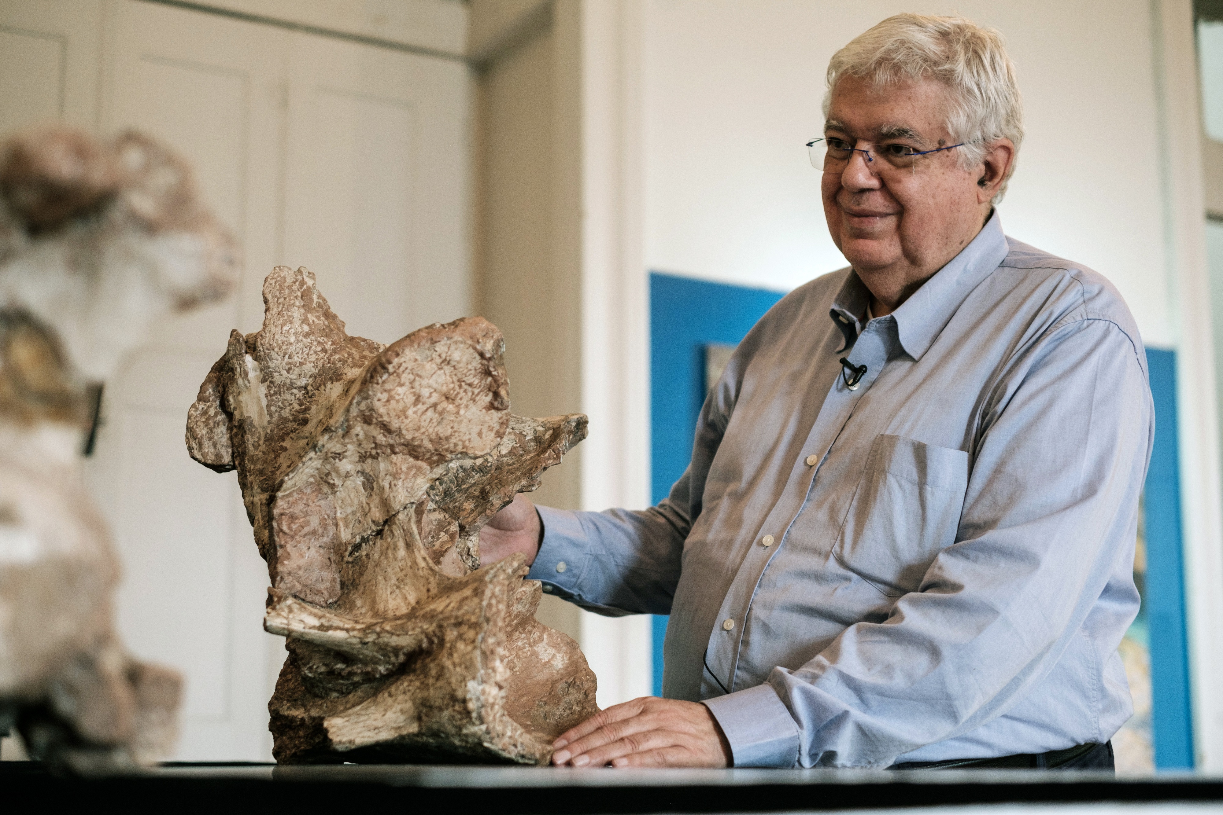 The Director of Earth Science Museum Diogenes de Almeida Campos shows the biggest piece of fossil of a dinosaur's neck, collected in 1953 by the Brazilian paleontologist Llewellyn Ivor Price at Earth Science Museum in Rio de Janeiro on October 6, 2016. The dinosaur newly named Austroposeidon Magnificus was about 25 meters long and the largest among 9 species discovered in Brazil.  / AFP PHOTO / YASUYOSHI CHIBA