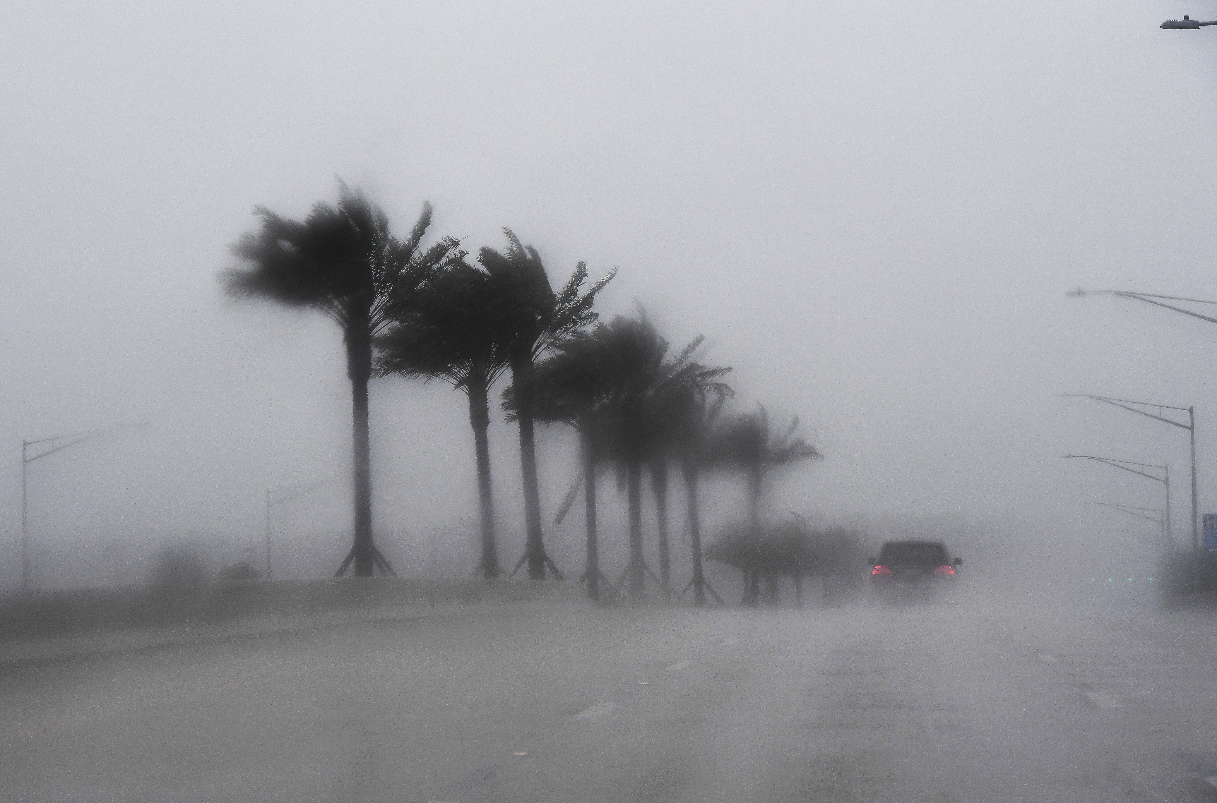 Commuters make their way through heavy rain in Jacksonville, Florida, on October 6, 2016, ahead of hurricane Matthew. Some three million people on the US southeast coast faced urgent evacuation Thursday as monstrous Hurricane Matthew -- now blamed for more than 100 deaths in Haiti alone -- bore down for a direct hit on Florida. / AFP PHOTO / Jewel SAMAD