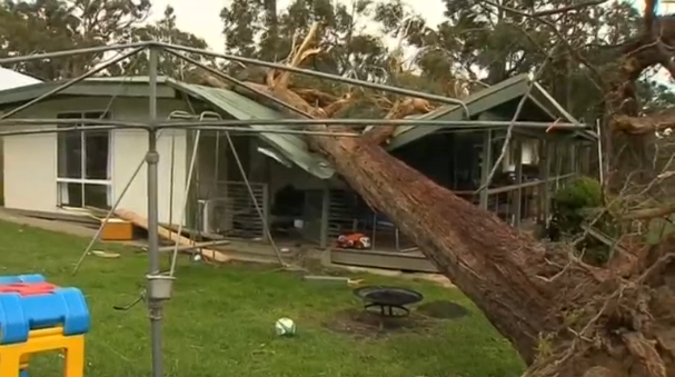 Wind gusts and storms lash the Australian state of Victoria on Sunday, killing one woman and disrupting power supplies to more than 100,000 people. (Photo captured from Reuters video)