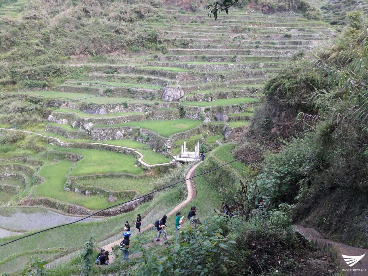 a468ac58-d4c7-4873-8a3a-3119f26f61b9