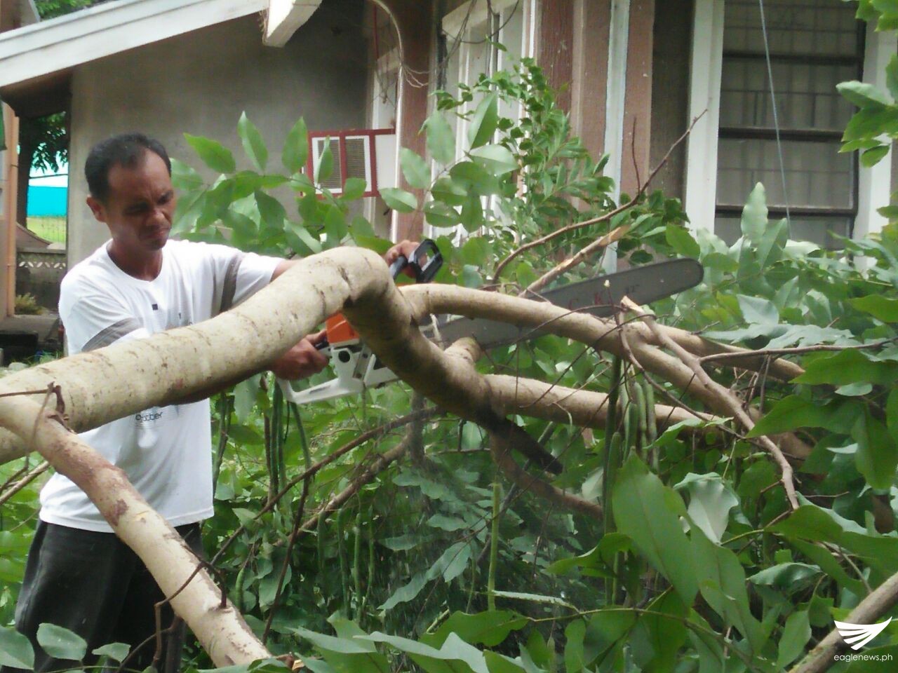 b2a24fb4-f88f-4fd0-8ec7-036329f00ceb