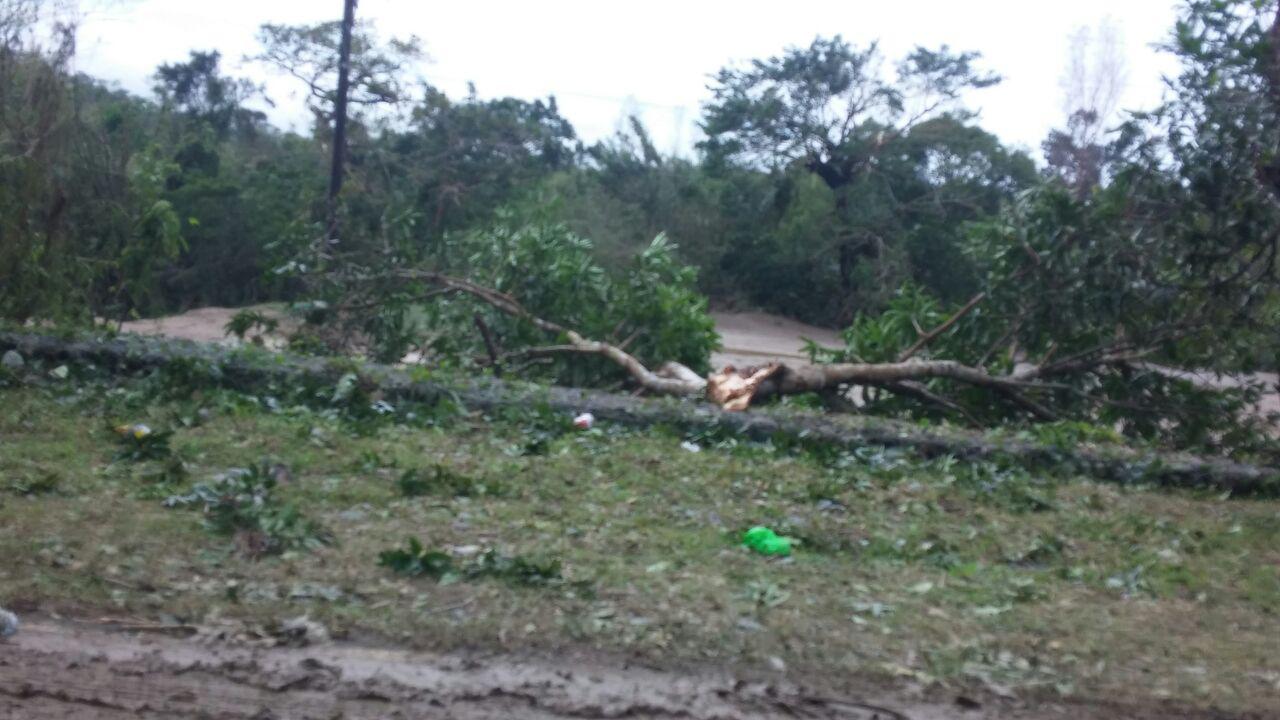 photo_2016-10-26_08-38-36