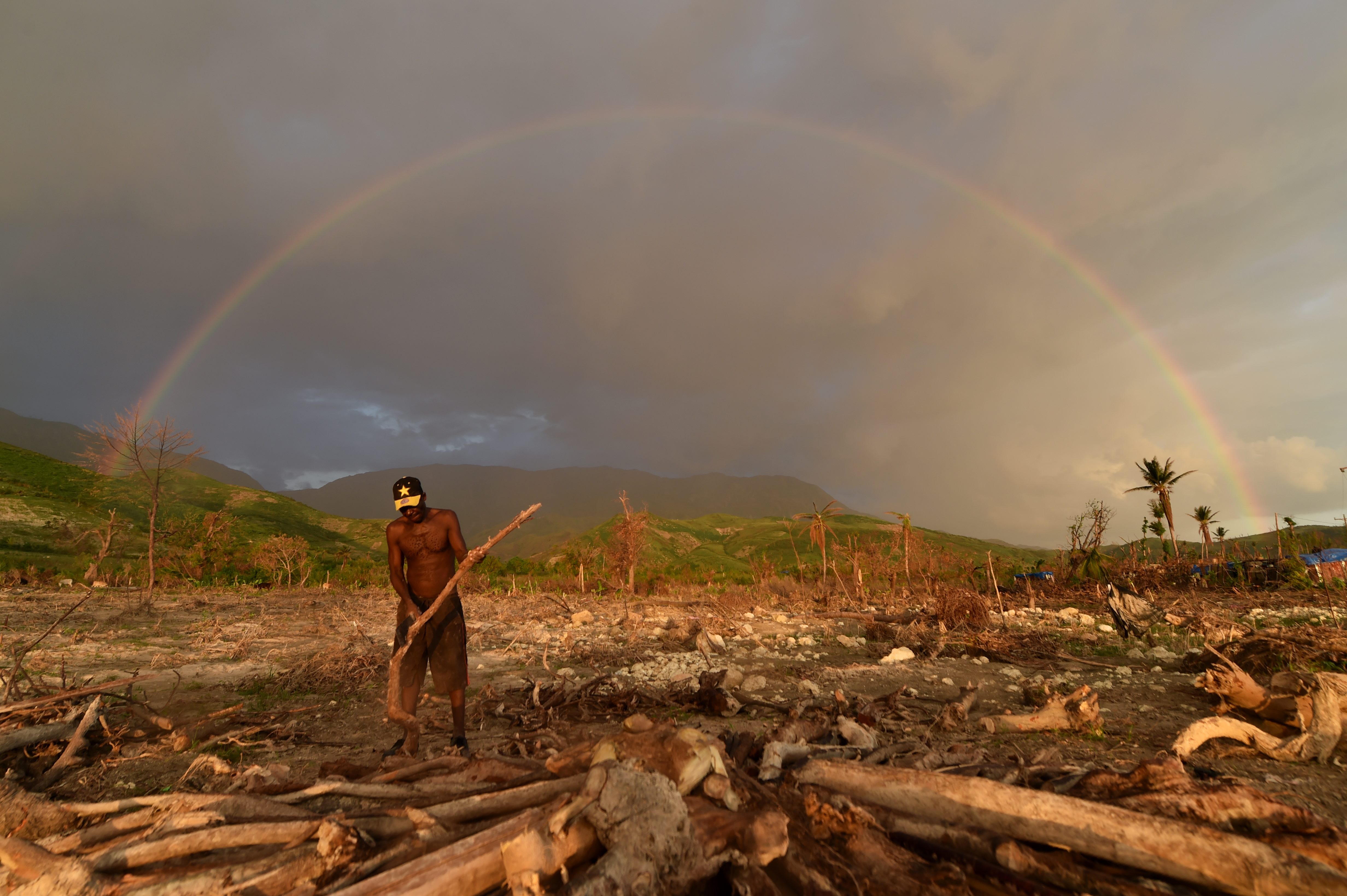 A man cuts wood to prepare charcoal with wood that was left over from damaged trees from Hurricane Matthew in the village of Damassin, in the commune of Coteaux, in the southwestern Haiti, on November 3, 2016. At least 546 people were killed when Hurricane Matthew roared ashore one month ago, on October 4, packing winds of 145 miles (230 kilometers) per hour. / AFP PHOTO / HECTOR RETAMAL