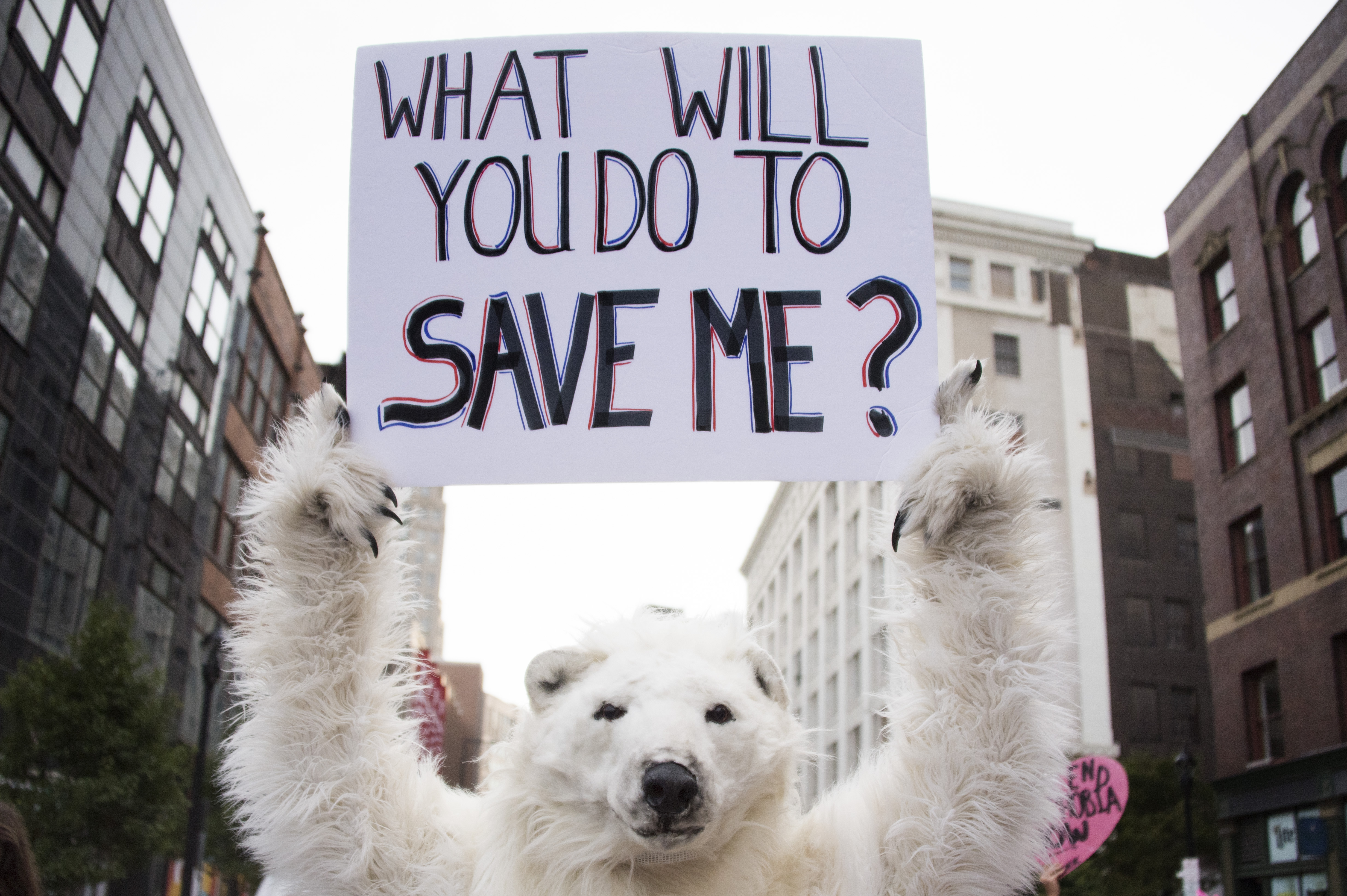 (FILES) This file photo taken on July 18, 2016 shows an anti-global warming protester holding up a placard in Cleveland, Ohio, near the Republican National Convention site. Diplomats gather next week for a fresh round of UN climate talks in Marrakesh, but all eyes will be on America where presidential elections may be what determine the planet's future. Republican nominee Donald Trump, who has described global warming a "hoax", said in May he would "cancel" the climate-rescue Paris Agreement if elected leader of the free world. Should his threats be taken seriously? / AFP PHOTO / JIM WATSON