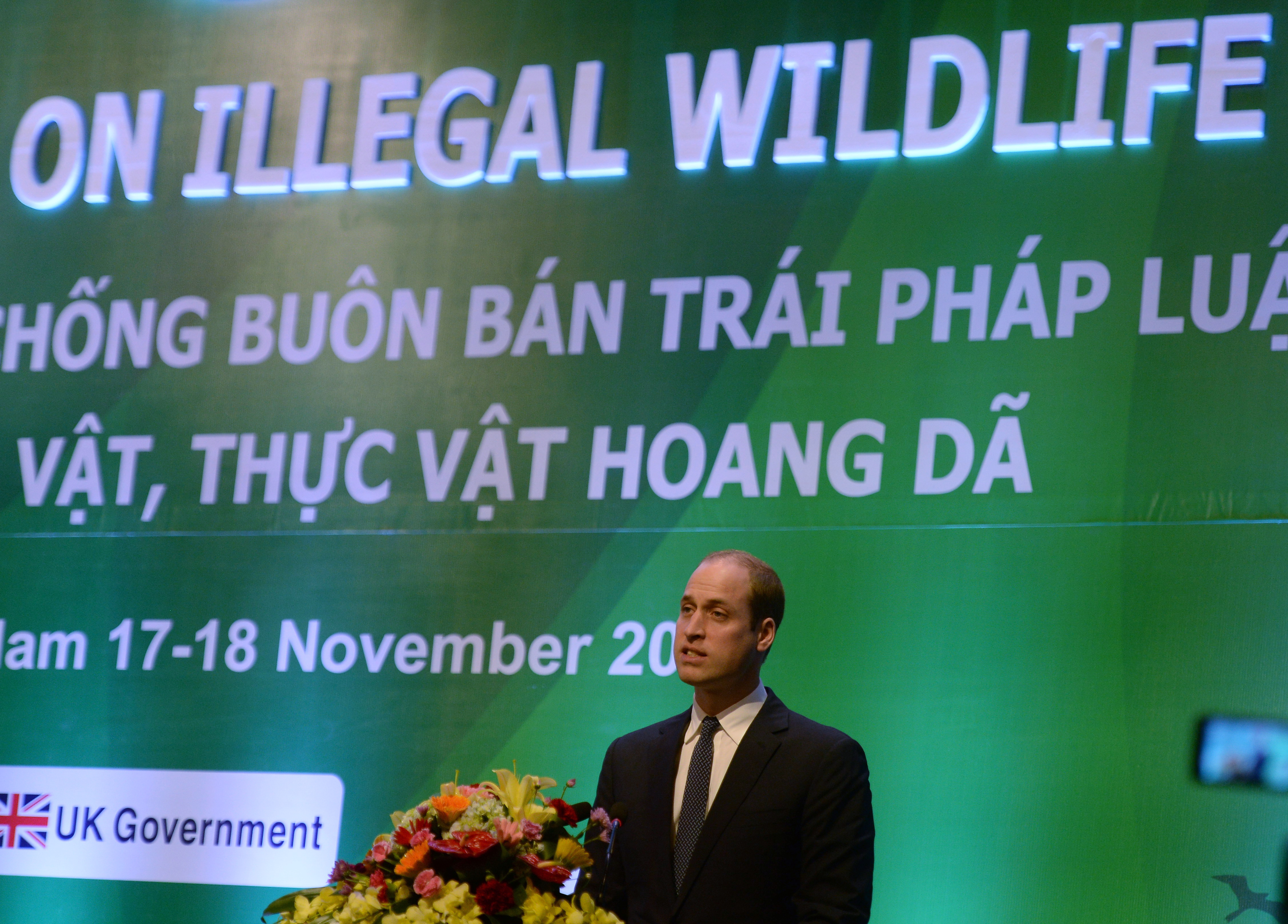 Britain's Prince William, Duke of Cambridge delivers a speech at the opening of the Hanoi conference on Illegal Wildlife Trade in Hanoi on November 17, 2016. / AFP PHOTO / HOANG DINH NAM