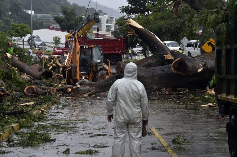 Workers cut a tree that killed a boy when it fell during a storm in Panama City on November 22, 2016. Tropical Storm Otto, that is expected to become a full-on hurricane in the Caribbean, was lurching toward Central America on Tuesday, with its rainy fringe already causing three deaths in Panama and prompting coastal evacuations in Costa Rica. In Panama, three people died from a mudslide and a falling tree provoked by the first outer dump of Otto's heavy rains, the head of the National Civil Protection Service, Jose Donderis, told AFP.  / AFP PHOTO / Rodrigo ARANGUA