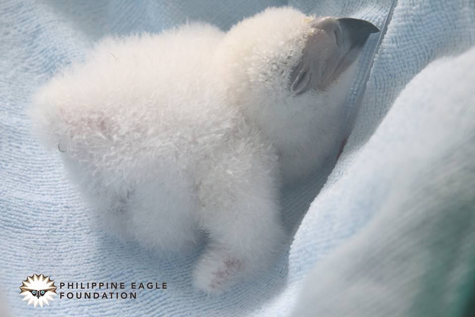 0343f797-4119-4e50-89cf-3a36c4eedc92