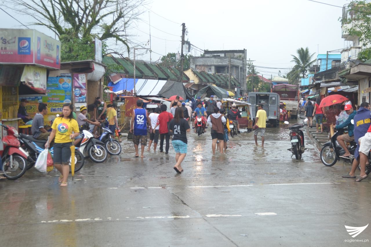 1ccb691b-cab6-446d-aa08-1aacf5c90a49