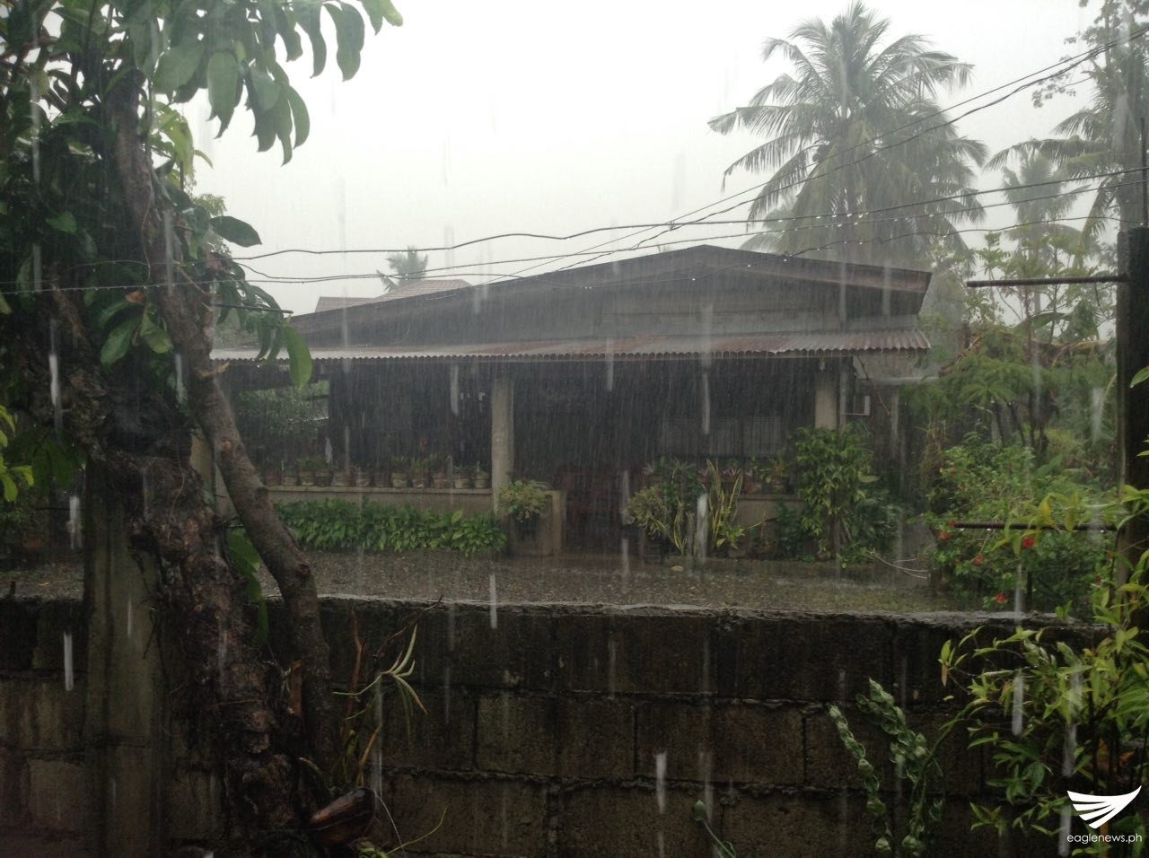 8d09142d-a2e3-4589-8f24-e71d62cc938a