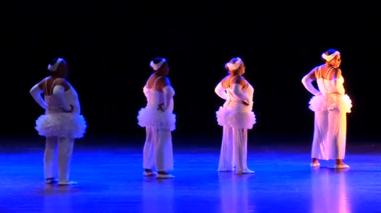 Cuba's dance company "Danza Voluminosa" (Voluminous Dance) made up of overweight women and men, has fought for two decades in Cuba to show that non-slender bodies can also dance and offer art and spectacle. (Photo courtesy of Reuters video file)