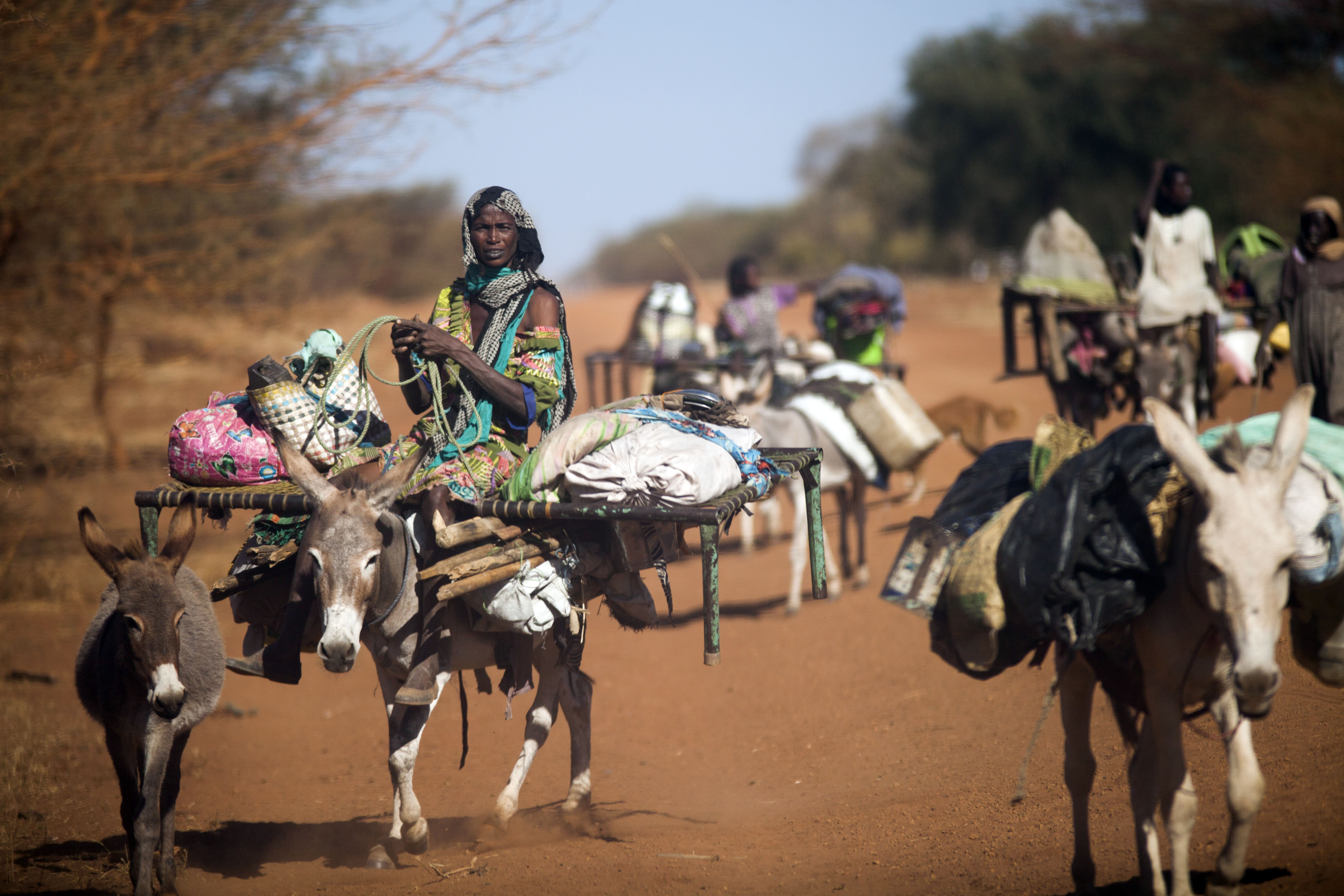 (FILES) A woman rides a donkey as nomad families from the Misseryia area in Abyei region migrate from north on December 18, 2016.  The beginning of the dry season make this community move to the south, mostly populated by the Dinka tribe. The Abyei Administrative Area is a disputed territory between Sudan and South Sudan with a longstanding intercommunal tensions between the Ngok-Dinka ethnic majority and the pastoral Misseriya population, who migrate through the area seasonally from the north. / AFP PHOTO / Albert Gonzalez Farran