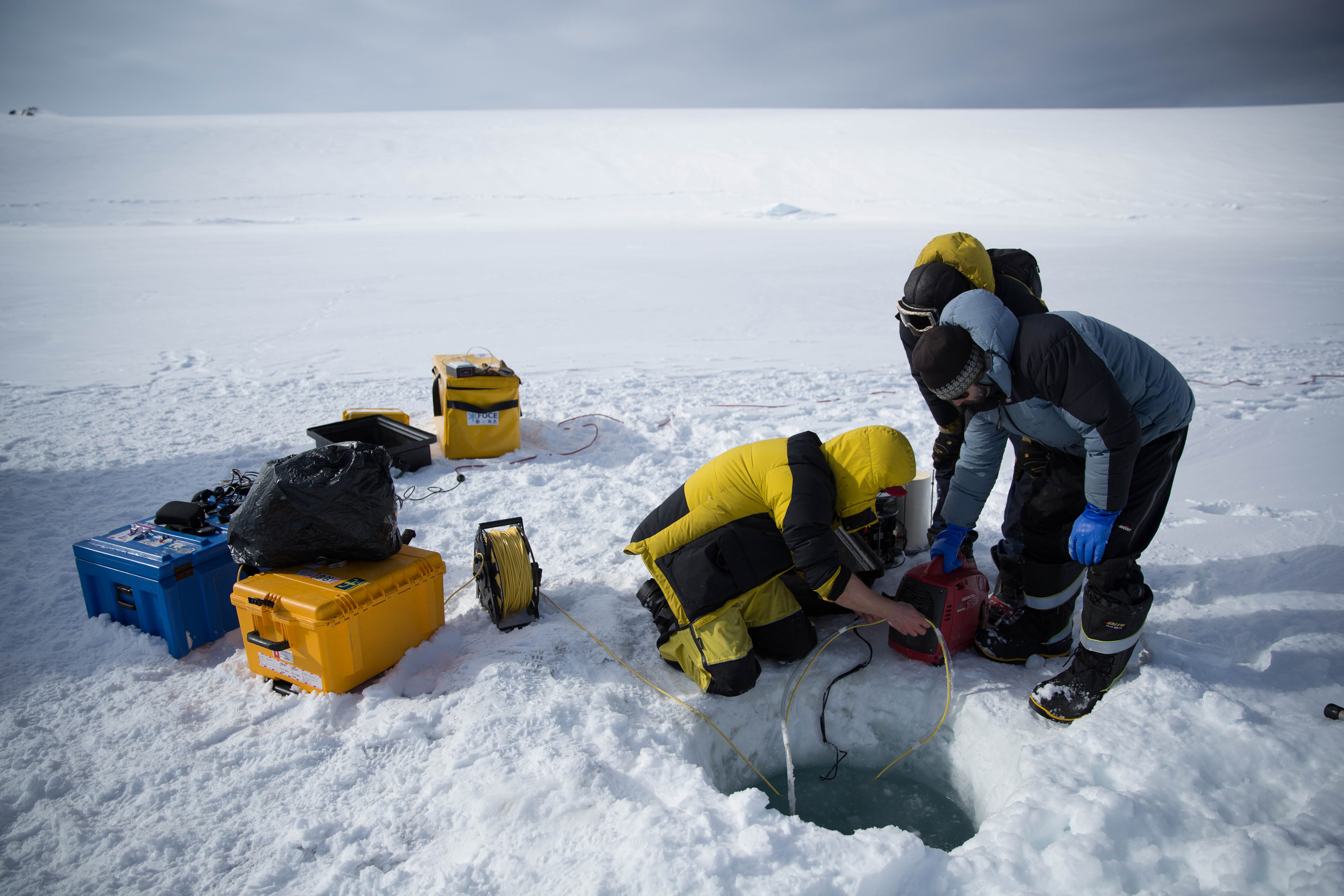 This undated handout photo received from the Australian Antarctic Division (AAD) on December 21, 2016 show scientists operating a remote underwater camera through a hole in the ice at O'Brien Bay near Australia's Antarctic Casey research station. The Australian Antarctic Division (AAD) took footage on a camera attached to a Remotely Operated Vehicle sent down by scientists through a small hole drilled in the ice as they recorded the acidity, oxygen, salinity and temperature of the seawater. / AFP PHOTO / AUSTRALIAN ANTARCTIC DIVISION / Dominic HALL / --EDITORS NOTE --- ONE TIME USE --RESTRICTED TO EDITORIAL USE -- MANDATORY CREDIT "AFP PHOTO / DOMINIC HALL / AUSTRALIAN ANTARCTIC DIVISION" -- NO MARKETING NO ADVERTISING CAMPAIGNS - DISTRIBUTED AS A SERVICE TO CLIENTS - NO ARCHIVES -- TO BE USED EXCLUSIVELY WITH AFP STORY AUSTRALIA-ANTARCTICA-ENVIRONMENT-CONSERVATION /
