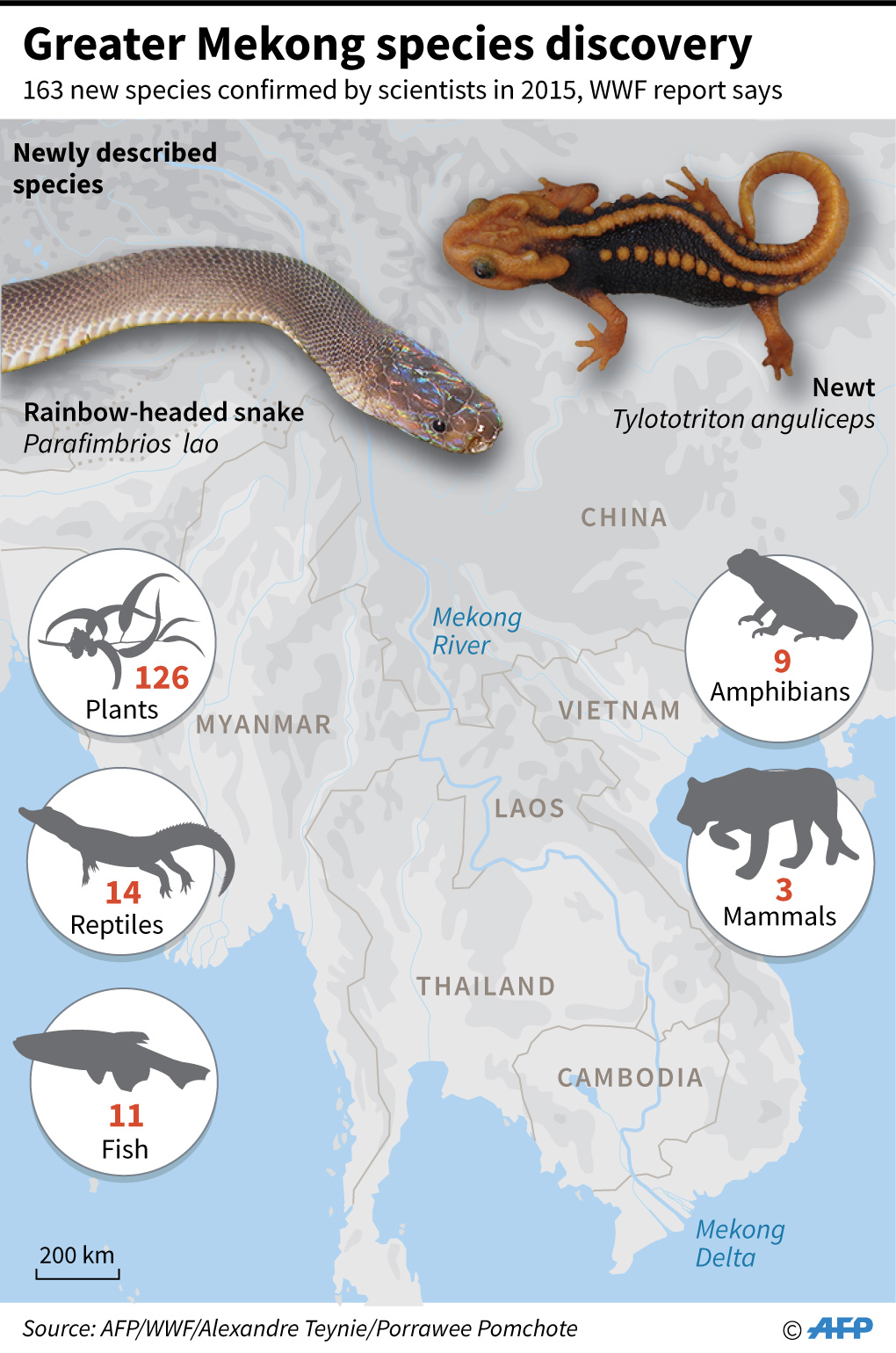 Graphic on new species discovered in the Mekong region, WWF said in a report Monday.