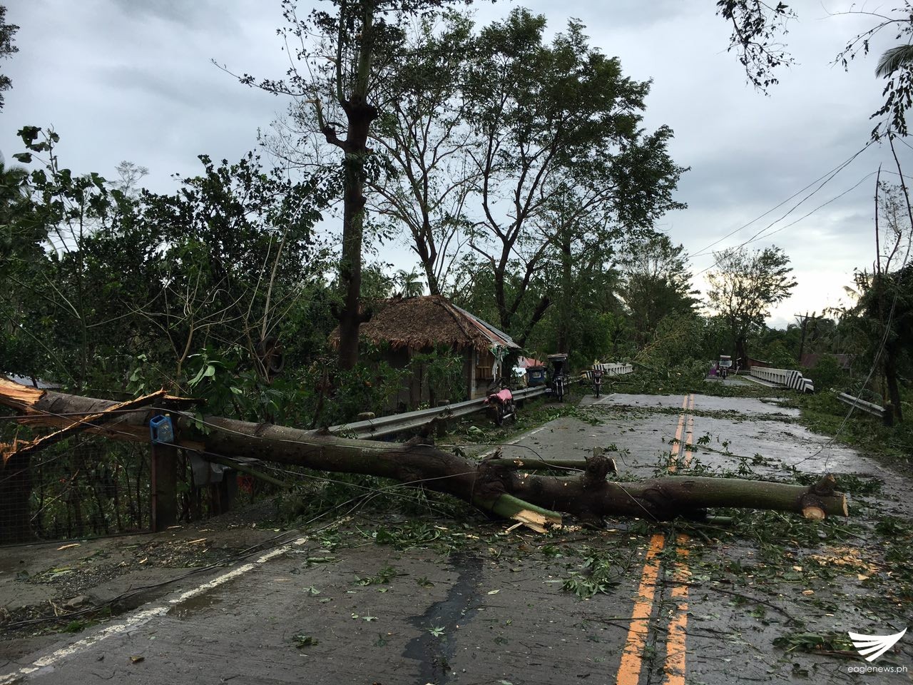 f5c6ae36-2d36-48ce-8b5d-2ac6b23fa687