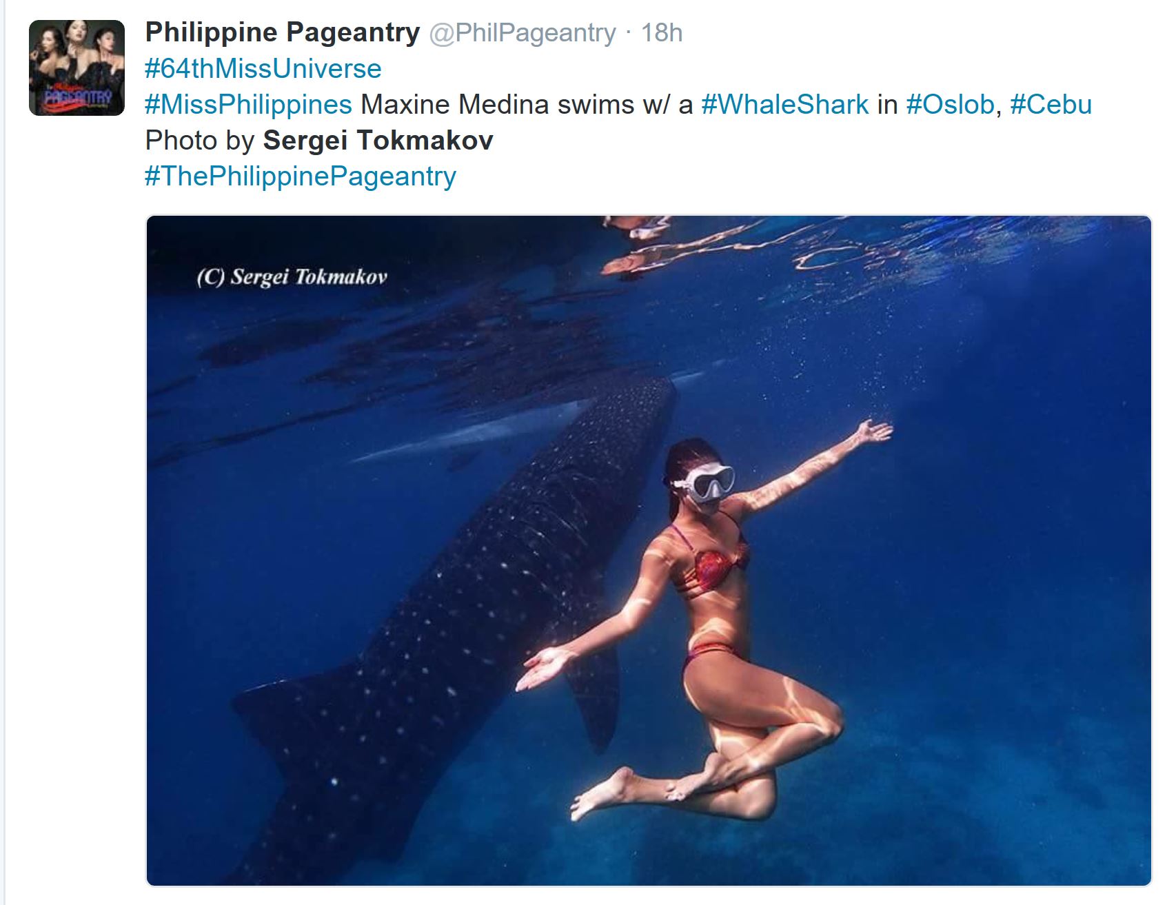 Philippines' bet Maxine Medina is photographed here by Sergei Tokmakov swimming among whale sharks in Oslob, Cebu. (Photo courtesy Sergei Tokmakov)