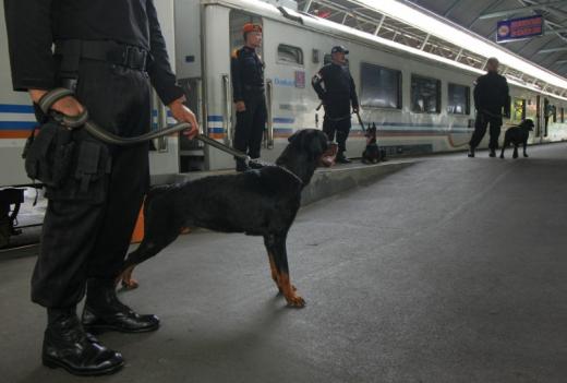 Indonesian police stand guard with their sniffer dogs providing security ahead of the Christmas and New Years holiday at Gubeng station, Surabaya, East Java, Indonesia December 23, 2016 in this photo taken by Antara Foto. Antara Foto/Didik Suhartono/via REUTERS