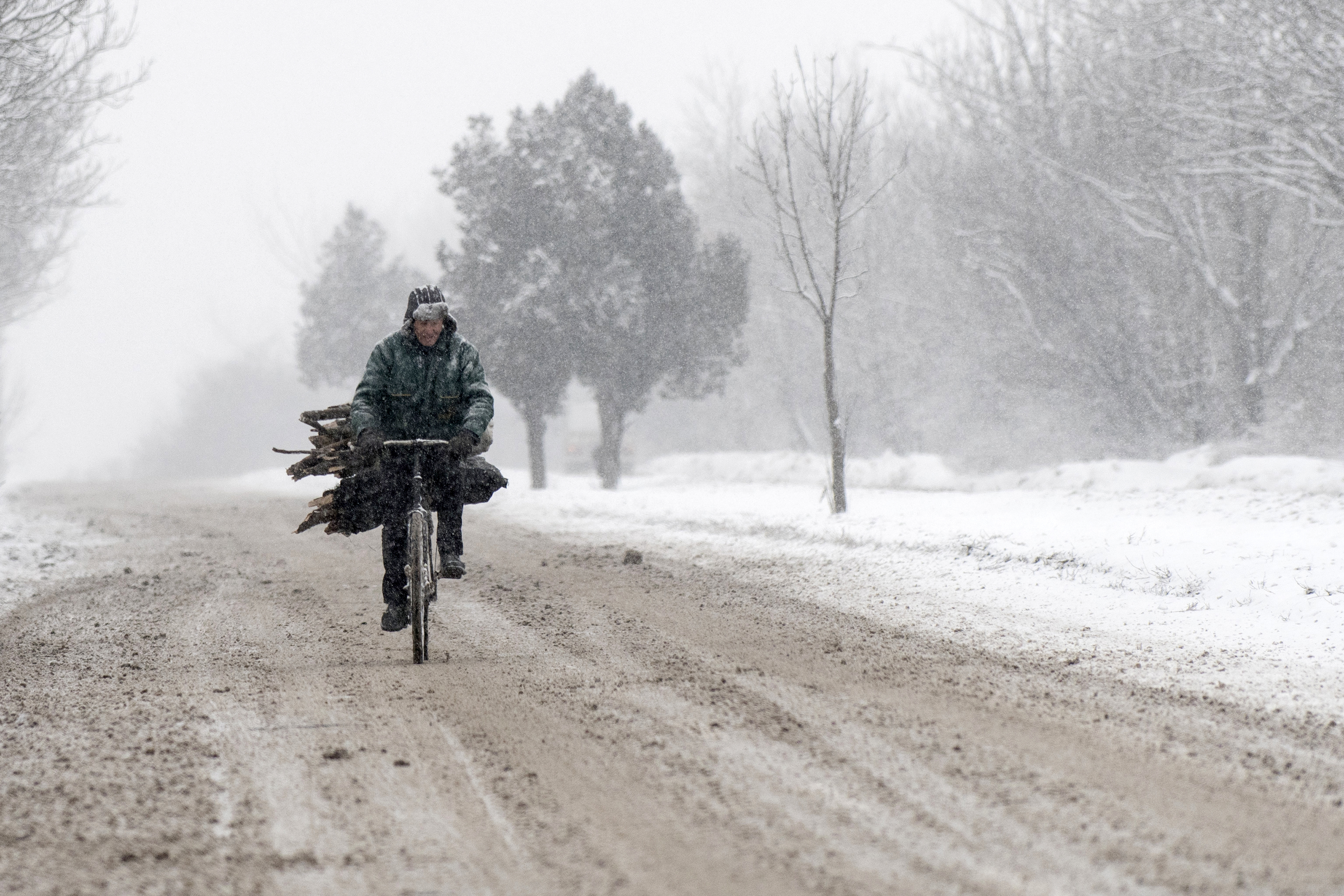 FILE PHOTO: A man rides a bicycle laden with woods during a heavy snowfall in a suburb of Sofia, as temperatures dropped to minus 19 C in Bulgaria on January 10, 2017. / AFP PHOTO / NIKOLAY DOYCHINOV
