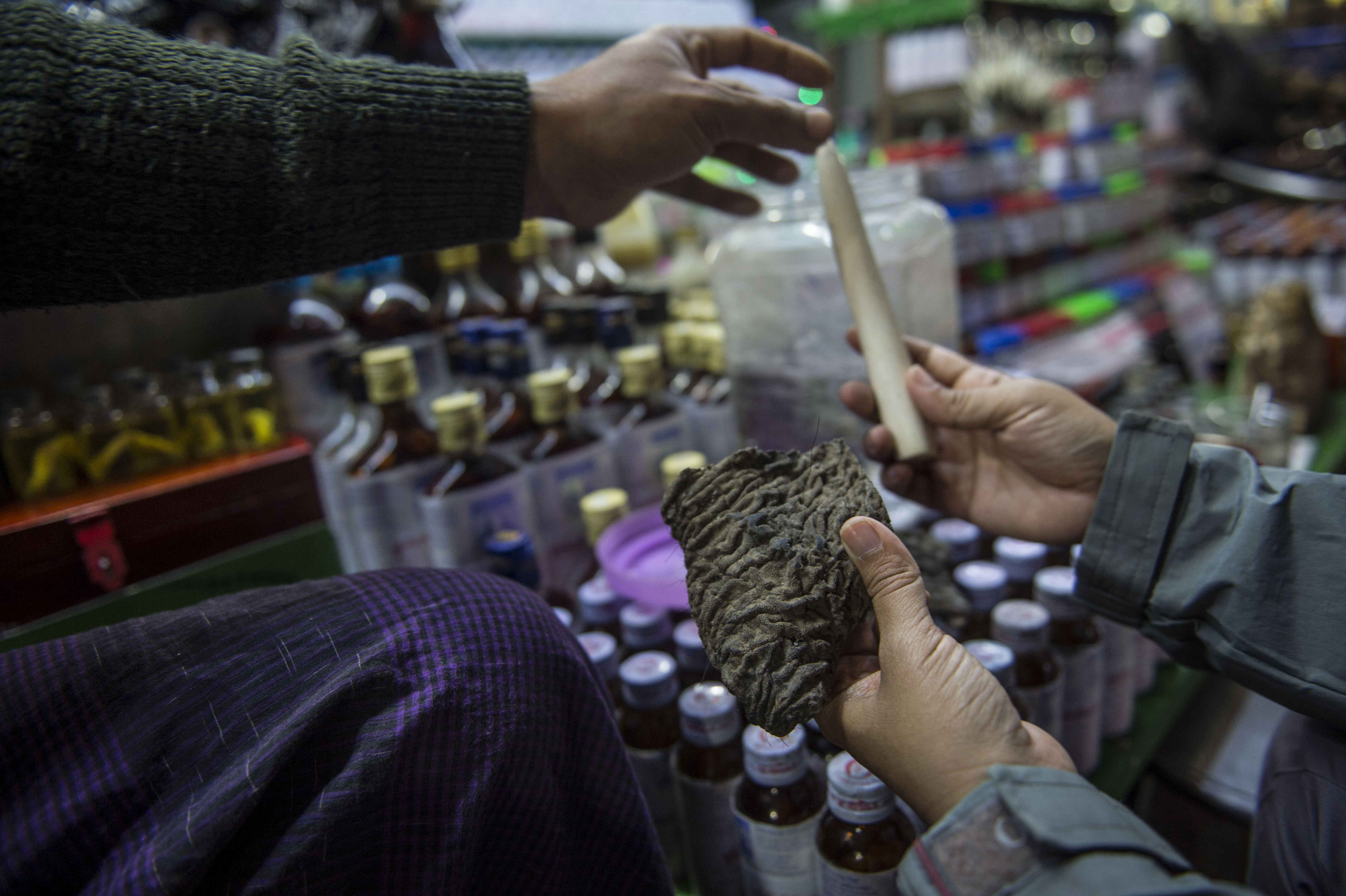 In this photograph taken on January 19, 2017, a vendor (L) tries to sell a chunk of dried elephant skin and an ivory tusk at the traditional medicine shop at the sprawling grounds of Golden Rock pagoda in Mount Kyaikhteeyoe surrounded by souvenir shops, restaurants and monastery located in Mon State, a major religious pilgrimage site for Myanmar's Buddhist. Under the shadow of Myanmar's famed 'Golden Rock' punters haggle for the latest traditional medicine cure -- slices of skin from the country's fast disappearing wild elephants sold for a few dollars a square inch. A maze of shops sell everything from pieces of ivory and tiger's teeth to vials of bear oil. Vendors claim elephant skin can cure skin diseases like eczema. / AFP PHOTO / ROMEO GACAD