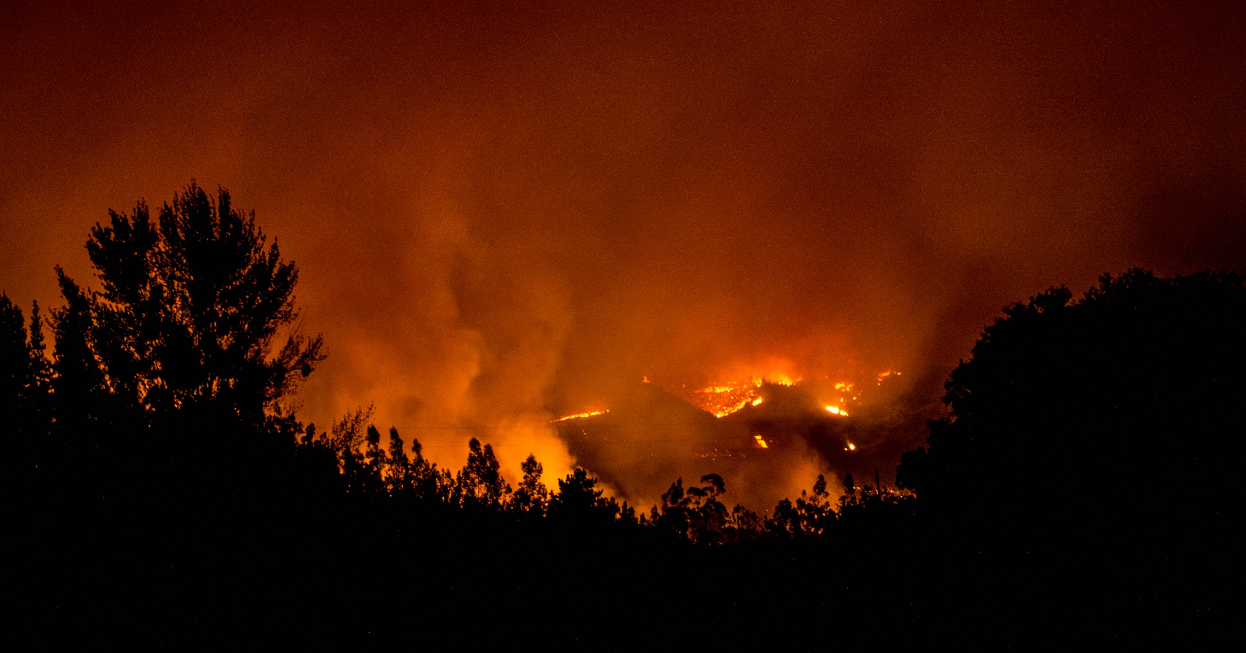 Picture taken during a forest fire in Vichuquen, 283 km south of Santiago, on January 24, 2017. Chile's president ordered extra funds Tuesday to be spent on fighting the country's worst forest fires ever, as frantic locals called for help to save their homes, animals and farmland. Flames have destroyed 155,000 hectares (600 square miles) of land in the center of the country and at least 4,000 people have been evacuated, the National Emergency Office said.  / AFP PHOTO / Martin BERNETTI