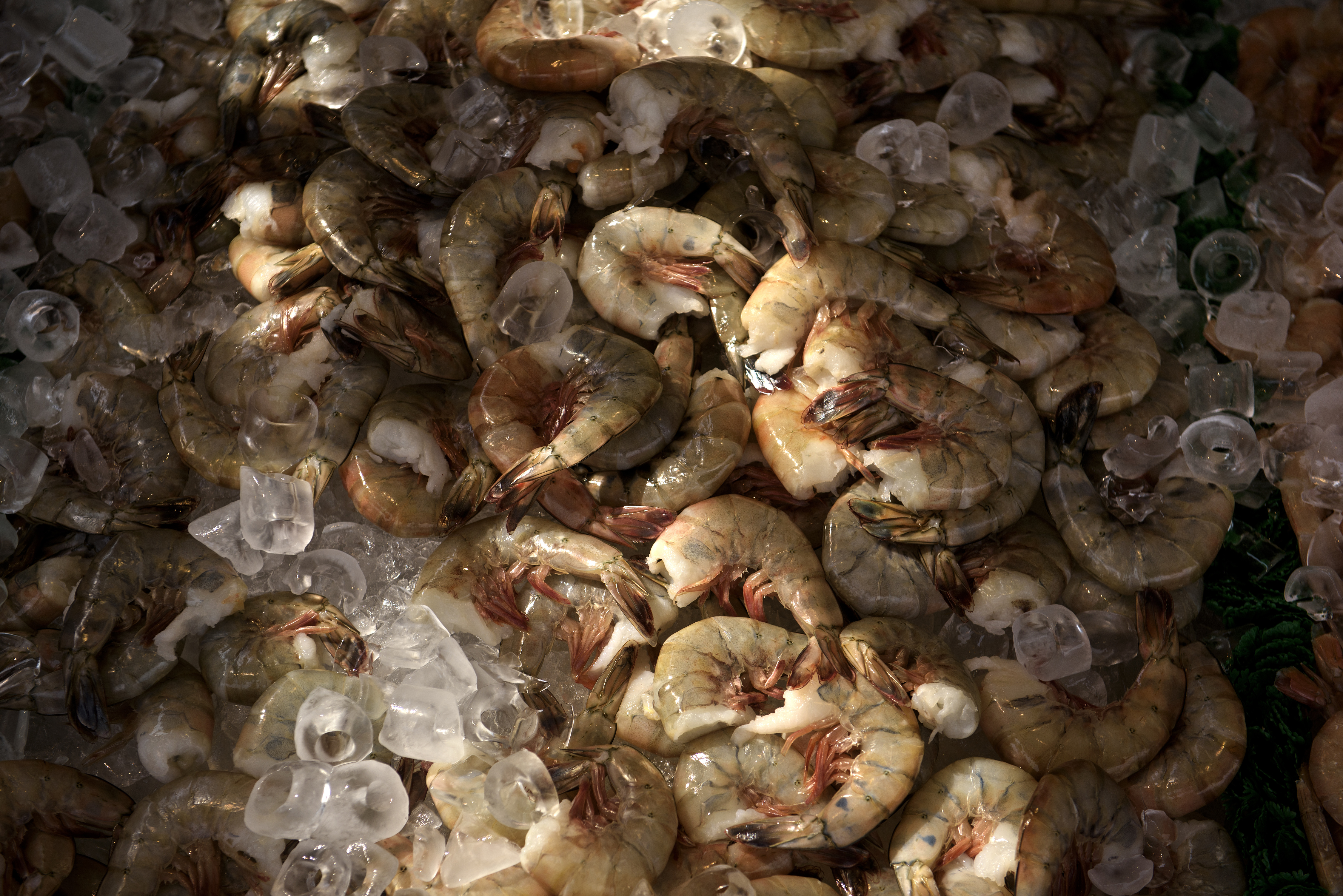 (FILES) This file photo taken on April 20, 2016 shows shrimp for sale at the Maine Avenue Fish Market in Washington, DC. The price of big-sized shrimp can rise as a direct result of pollution from fertilizers that cause dead zones in coastal waters, US researchers said on January 30, 2017. The study in the Proceedings of the National Academy of Sciences is the first to show how a low-oxygen water problem called hypoxia is related to the climbing price of seafood.  / AFP PHOTO / Brendan Smialowski