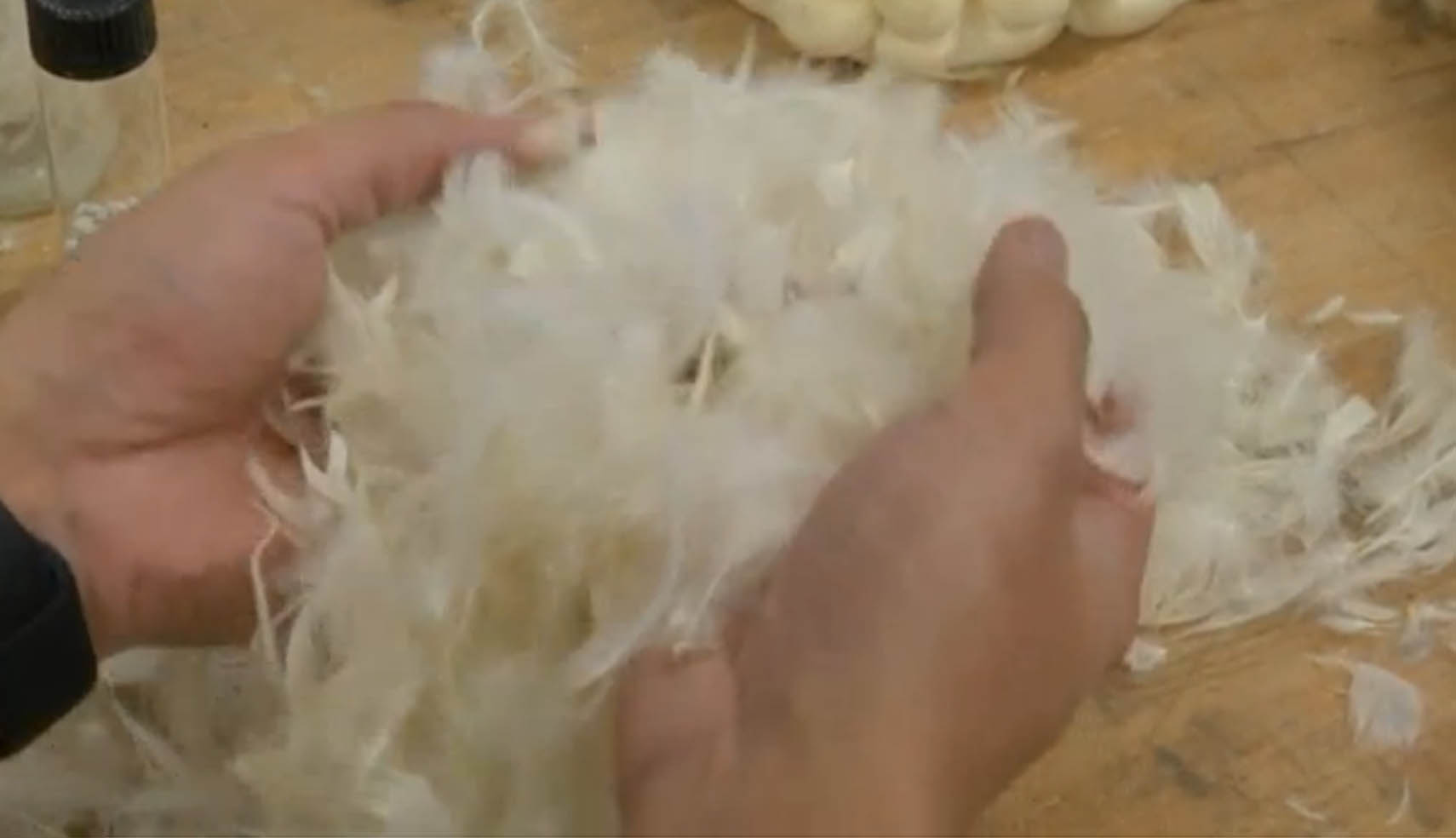 London-based start-up Aeropowder is developing a method to turn thousands of tonnes of waste chicken feathers into useful materials, including an effective thermal insulator. (Photo courtesy to Reuters video)