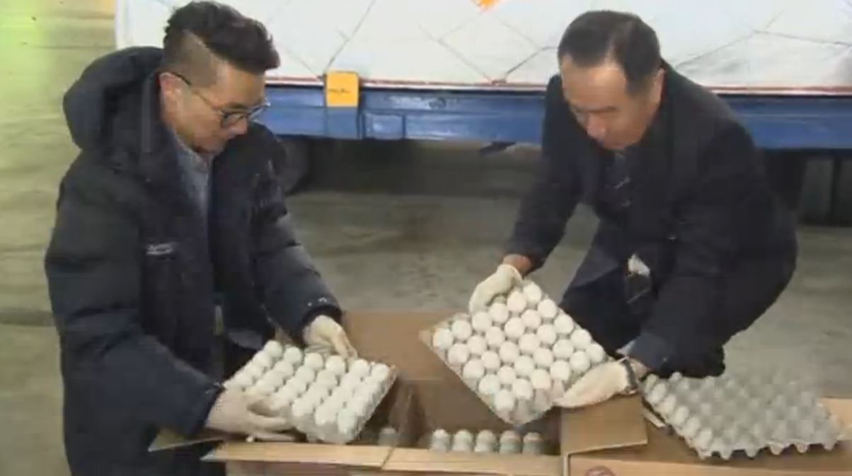 Imported eggs from the U.S. arrive in South Korea amid a worsening egg shortage caused by the country's biggest-ever bird flu outbreak. (Photo grabbed from Reuters video) 