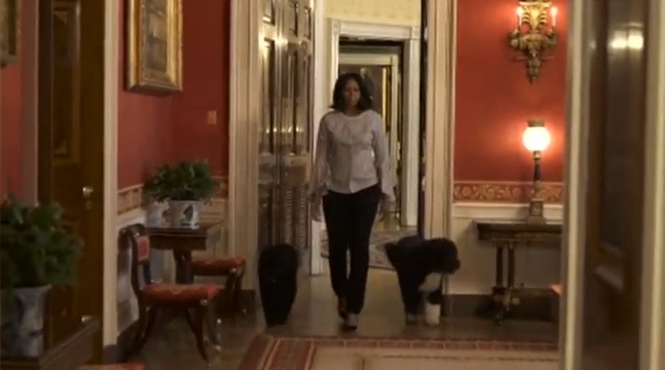 The White House releases video of first lady Michelle Obama strolling for the last time through the presidential mansion with the family's two Portuguese Water Dogs, Sunny and Bo.