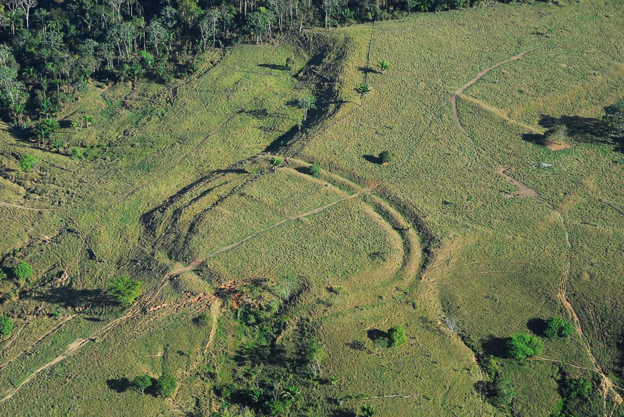 This undated handout photo obtained from the University of Exeter February 6, 2017 shows a geoglyph built in Acre state in the western Brazilian Amazon that had been concealed for centuries by the rainforest. Long before European settlers arrived in the Americas in 1492, the Amazon rainforest was transformed for thousands of years by indigenous people who carved mysterious circles into the landscape, researchers said Monday. While the purpose of these hundreds of ditched enclosures, or geoglyphs, remains unclear, scientists say they may have served as ritual gathering places. Modern deforestation -- coupled with aerial photographs of the landscape -- helped reveal some 450 of these geoglyphs in Acre state in the western Brazilian Amazon.The research was carried out by Jennifer Watling, post-doctoral researcher at the Museum of Archaeology and Ethnography, University of São Paulo, when she was studying for a PhD at the University of Exeter. / AFP PHOTO / University of Exeter / Jenny WATLING / RESTRICTED TO EDITORIAL USE - MANDATORY CREDIT AFP PHOTO /JENNY WATLING/UNIVERSITY OF EXETER - NO MARKETING - NO ADVERTISING CAMPAIGNS - DISTRIBUTED AS A SERVICE TO CLIENTS / TO GO WITH AFP STORY BY KERRY SHERIDAN: Amazon forest was transformed by ancient people: study
