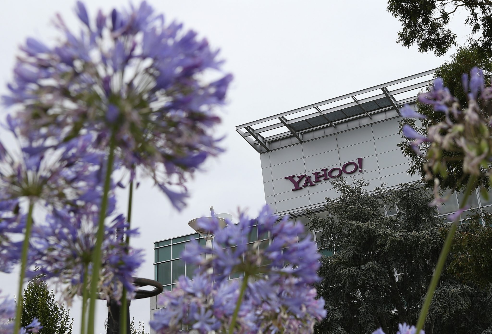 SUNNYVALE, CA - JULY 17: The Yahoo logo is displayed in front of the Yahoo headqarters on July 17, 2012 in Sunnyvale, California. Yahoo will report Q2 earnings one day after former Google executive Marissa Mayer was named as the new CEO. Photo by Justin Sullivan/Getty Images)   Justin Sullivan/Getty Images/AFP