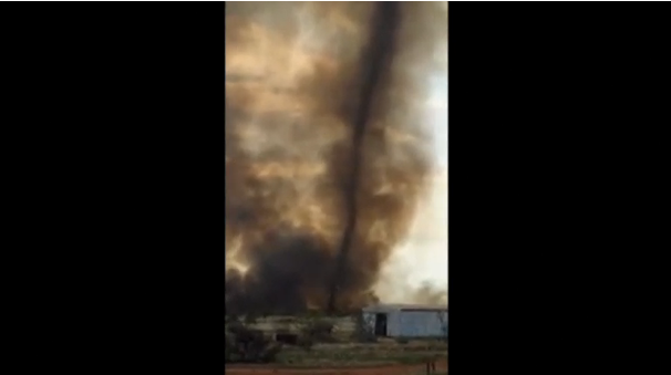 Amateur video shows a fire tornado formed during a bushfire in Western Australia.(photo grabbed from Reuters video)