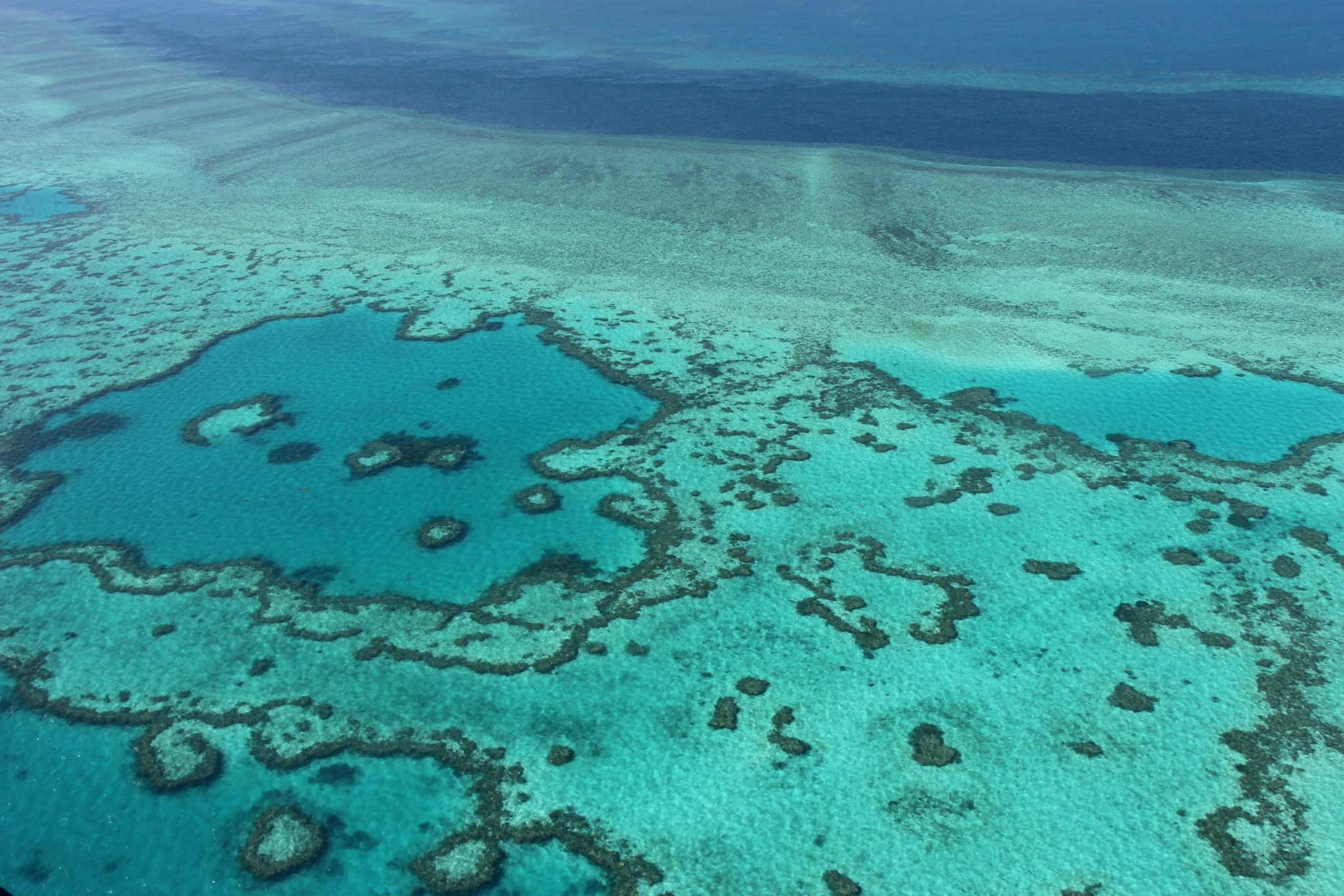 (FILES) This photo taken on November 20, 2014 shows an aerial view of the Great Barrier Reef off the coast of the Whitsunday Islands, along the central coast of Queensland. The plan to rescue Australia's Great Barrier Reef has been setback decades following last year's worst-ever bleaching event, a new report has found, while the reef's caretakers have cautioned the government to prepare for the likelihood of further bleaching this year. / AFP PHOTO / SARAH LAI