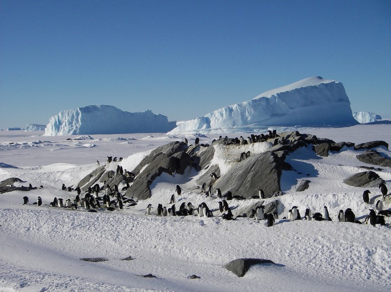 This undated handout photo released by the Australian Antarctic Division on March 15, 2017 shows an Adelie penguin colony in East Antarctica.  Almost six million Adelie penguins are living in East Antarctica, more than double the number previously thought, scientists said on March 15, 2017 in findings that have implications for conservation. / AFP PHOTO / AUSTRALIAN ANTARCTIC DIVISION / TED MEAD / RESTRICTED TO EDITORIAL USE - MANDATORY CREDIT "AFP PHOTO / TED MEAD /  AUSTRALIAN ANTARCTIC DIVISION" - NO MARKETING NO ADVERTISING CAMPAIGNS - DISTRIBUTED AS A SERVICE TO CLIENTS == NO ARCHIVE