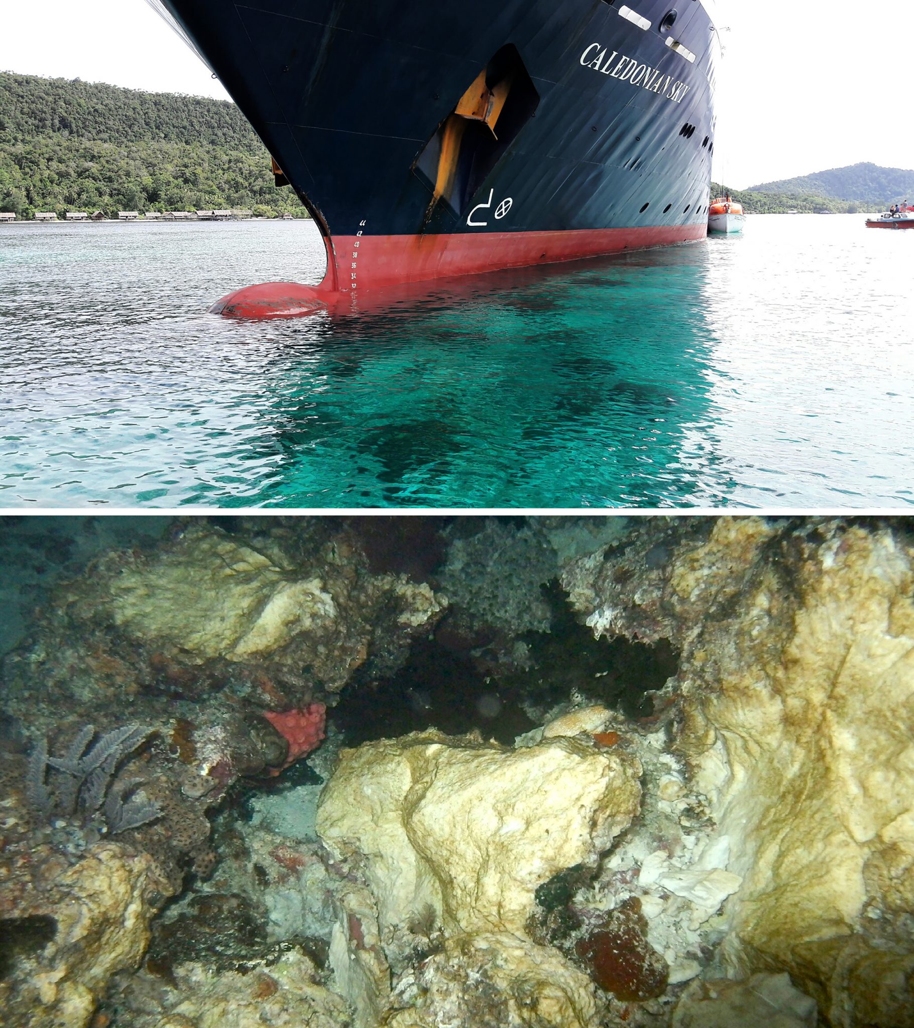 (FILES) This combo of file photos taken on March 4, 2017 shows the Caledonian Sky (top), a British-owned cruise ship, which smashed into pristine coral reefs causing extensive damage in Raja Ampat, a remote corner of Indonesia known as one of the world's most biodiverse marine habitats, and damaged coral reef (bottom) after the ship smashed into it causing extensive damage. Indonesia summoned the British ambassador after a cruise ship on a voyage organised by a London-based company smashed into coral reefs in a popular tourist spot and caused extensive damage. Indonesia summoned the British ambassador on March 17, 2017 after the cruise ship on a voyage organised by a London-based company smashed into coral reefs in a popular tourist spot and caused extensive damage. / AFP PHOTO / RUBEN SAUYAI