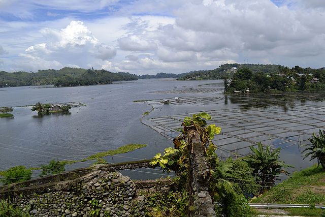 Photo courtesy of www.wikipedia.org