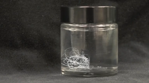 A team of Swedish researchers has developed a method of spinning artificial spider silk to produce a kilometre-long thread. (Photo grabbed from Reuters video)