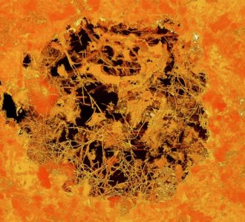 This handout image released by the Swedish Museum of Natural History on April 24, 2017 shows an X-ray tomographic rendering of a bubble in 2.4 billion-year-old lava containing mycelial fossils. The bubble is 0.8 mm in diameter. Fossils accidentally discovered in South Africa are probably the oldest fungi ever found by a margin of 1.2 billion years, rewriting the evolutionary story of these organisms which are neither flora nor fauna, researchers said on April 24, 2017. / AFP PHOTO / Swedish Museum of Natural History / Stefan Bengtson / RESTRICTED TO EDITORIAL USE - MANDATORY CREDIT "AFP PHOTO / SWEDISH MUSEUM OF NATURAL HISTORY / STEFAN BENGTSON" - NO MARKETING NO ADVERTISING CAMPAIGNS - DISTRIBUTED AS A SERVICE TO CLIENTS