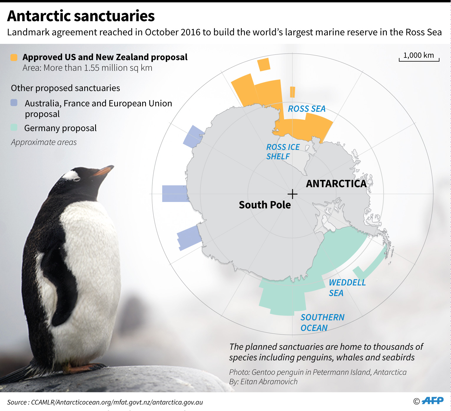 penguins/AFP