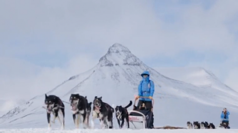 Almost 30 people complete a 300-kilometre expedition across the Arctic wilderness as they complete the Fjallraven Polar 2017 - a dog-sledding expedition from Signaldalen, Norway to Jukkasjarvi, Sweden.(photo grabbed from Reuters video)