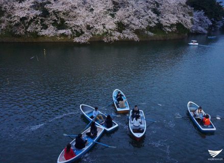 Boats along the Chidorigafuchi moat in Tokyo, Japan where cherry trees are in bloom. (Photo by Fleur Amora, Eagle News Service)