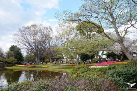 Scenes at the Showa Kinen Park