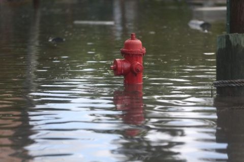 FORT LAUDERDALE, FL - SEPTEMBER 30: A fire hydrant is surrounded by water in a flooded street caused by the combination of the lunar orbit which caused seasonal high tides and what many believe is the rising sea levels due to climate change on September 30, 2015 in Fort Lauderdale, Florida. South Florida is projected to continue to feel the effects of climate change and many of the cities have begun programs such as installing pumps or building up sea walls to try and combat the rising oceans. Joe Raedle/Getty Images/AFP