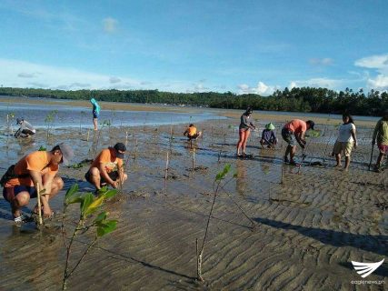 Ilang mga tauhan ng Coast Guard, CENRO Bislig City, at Brgy. Officials Loyola, Hinatuan na lumahok sa Mangroove planting.