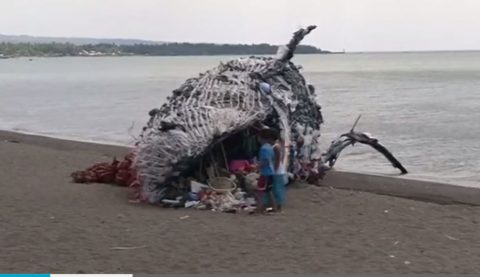 A dead whale sculpture made from plastic waste was put up by the group Greenpeace on a shore in Naic, Cavite. This was to raise awareness against the danger of dumping waste in the seas. (Photo grabbed from Reuters video)